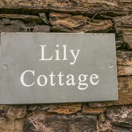 Lily